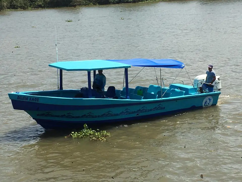 Divine Dolphin's New Tour Boat