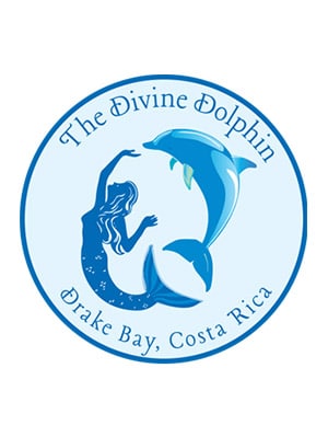 Divine Dolphin Logo - Costa Rica