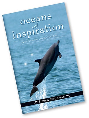 Oceans of Inspiration Book | Gift Shop | The Divine Dolphin's Gift Shop - Books, T-shirts and More! by Sierra Goodman