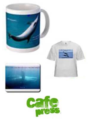 Gift Shop | The Divine Dolphin's Gift Shop - Books, T-shirts and More!