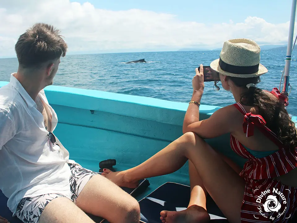 Divine Dolphin Whale Watching